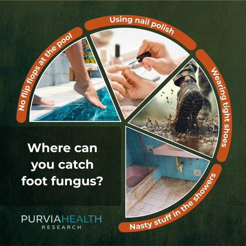 Purvia™ Fungus Eliminator